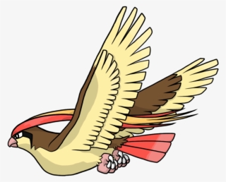 23 Dec - Pidgeot Png
