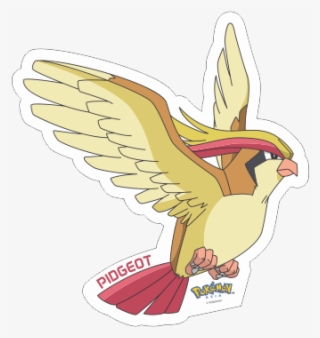 Pokemon Pidgeot