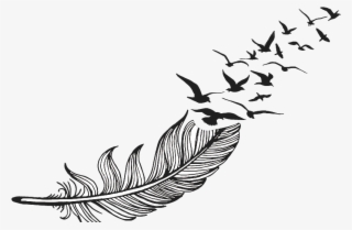 Feather Drawing Png