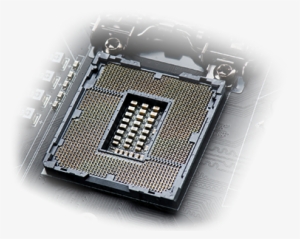 High Gold Content For Cpu Socket - Socket De Cpu Png