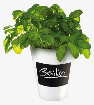 4509147 Asa-selection Memo Planter With Chalk Decal - Asa - Selection Memo Planter - White