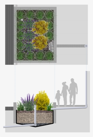 Stormwater Planter - Design
