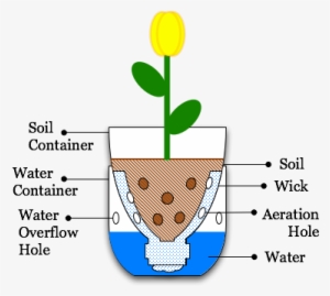 Illustration Sub Irrigated Planter From Pop Bottle - Sub Irrigated Planter