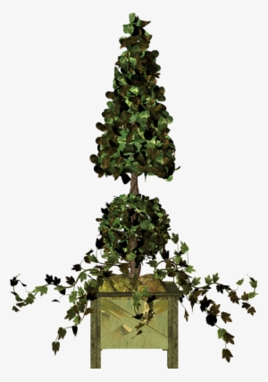Garden Pot Plant Png Rvores Jardim E - Clip Art