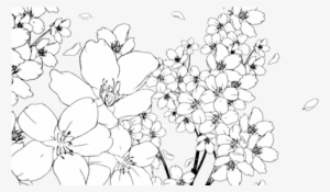 Manga Flowers Png Graphic Library - Манга Цветы Пнг