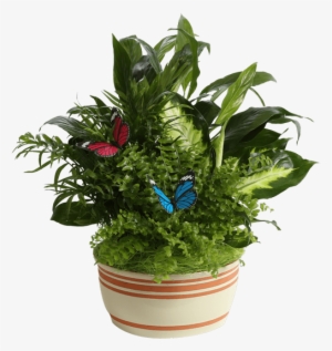 Horizon Planter, 8" Cream - Flowerpot