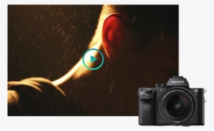 1111 - Sony Alpha Ilce7sm2b A7s Mk Ii Camera Body Only