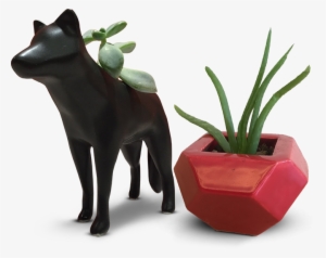 Check Out These Custom Succulent Planters Made In Porcelain - Cattle