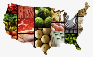Healthy Food Png Food Pyramid Re - Food Map Of The Us