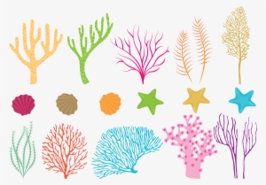 Coral Reef Png Clipart Black And White Stock - Coral Reef Vector Free Download