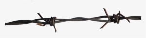 Barbed Wire Transparent Pictures - Real Barbed Wire Png
