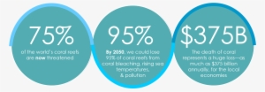 Reefs Around The World Need Help