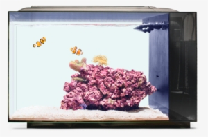 Biota Aquarium Tank Reefs - Biota Aquarium