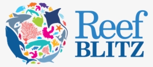 Latest News - Reef Blitz