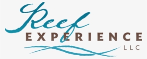 Reef Experience