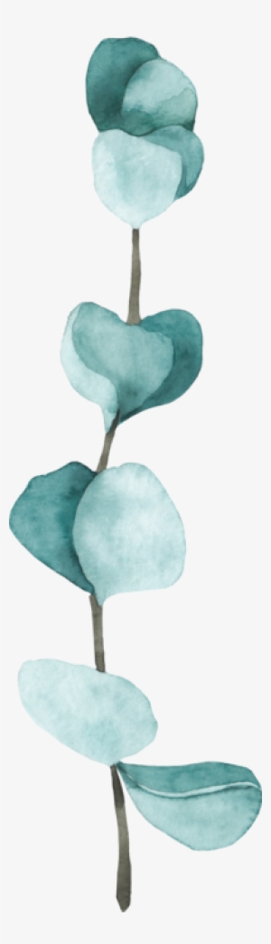 4 - Tulip