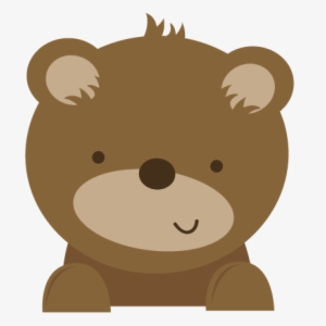 Cute Bear Png
