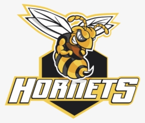Hornet Logo Png - Hornets
