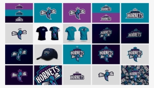 Charlotte Hornets