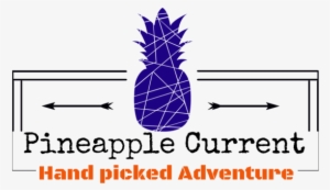 Home Of Hand Picked Adventure - Curating The Good: Collecting And Displaying Evidence