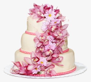 We Afford From Brownies To All Blends Of Variety Cakes - Confectionery Websites Templates