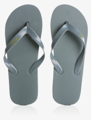 Flip-flop, Anyah - Flip-flops