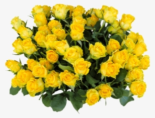 Yellow Rose Flower Free Png Transparent Images Free - Birthday Bouquet Images Download