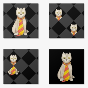 Magneto Gato De Gravata I De Cíntia Machadona - Magneto