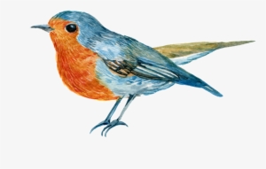 This Product Design Is Hand Painted A Magpie Png Transparent - Watercolor Painting