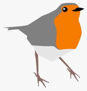 European Robin Drawing Istock Common Nightingale Bird - Clip Art Robin