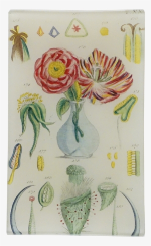 Information - John Derian Rectangular Vase