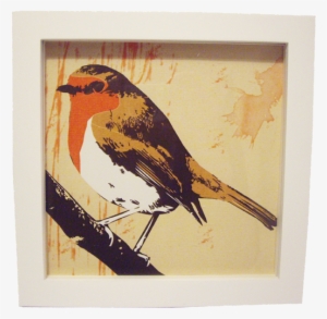 Image Of 'robin' Prints - Finch