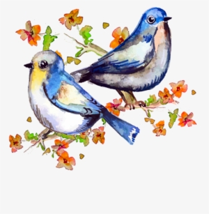 Publicat De Eu Ciresica La - Spring Birds Watercolor