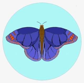 Pink Flower Easy Embroidery Kit - Swallowtail Butterfly