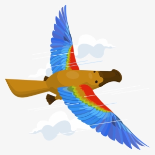 How Do I Fly The Platypus & Grow My Business - Flying Platypus