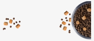 Dog Food Bowl Png - Cat Treat No Background