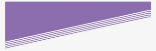 Purple Banner Top - Parallel
