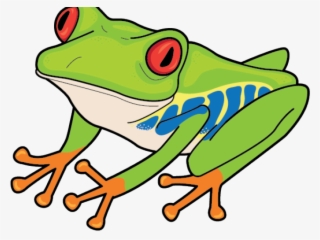Red Eyed Tree Frog Clipart