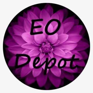 Ok So Going To Start From Square 1 And Just Keep Moving - Ios 8