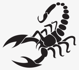 Scorpion Sticker - Scorpion Vector