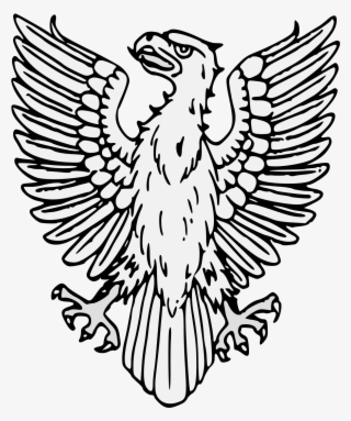 Details, Png - Falconiformes