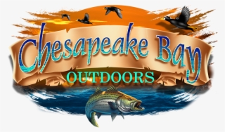 Chesapeake Bay Charter Fishing And Sea Duck Hunting - Pull Fish Out Of Water