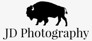 Jd Photography Logo Black