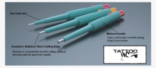 Biopsy Punch With Plunger - Ammunition