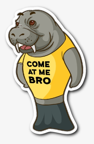 Manatee Come At Me Bro Commercial Novelty Sticker Car - Cartoon
