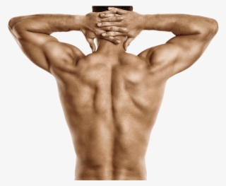 Muscle-man - Trainierter Rücken