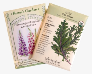 Is An Artist The Same Without Their Palette And Brushes - Red Winter Kale