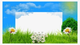 7 Molduras Primavera 2015, Png Com Fundo Transparente - Camomile