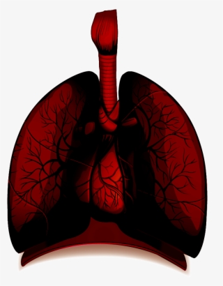 How Healthy Are Your Lungs - Unhealthy Lung Png