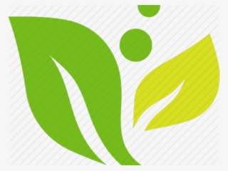 Abstract Leaf Png Hd